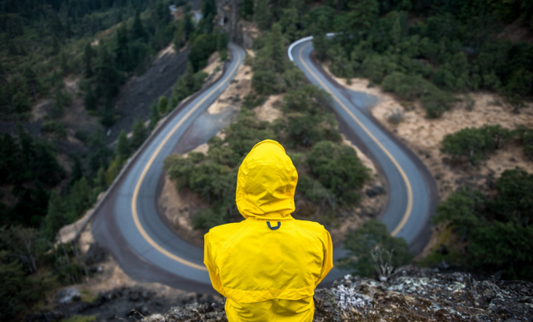 Life Path Reading — 60 minutes